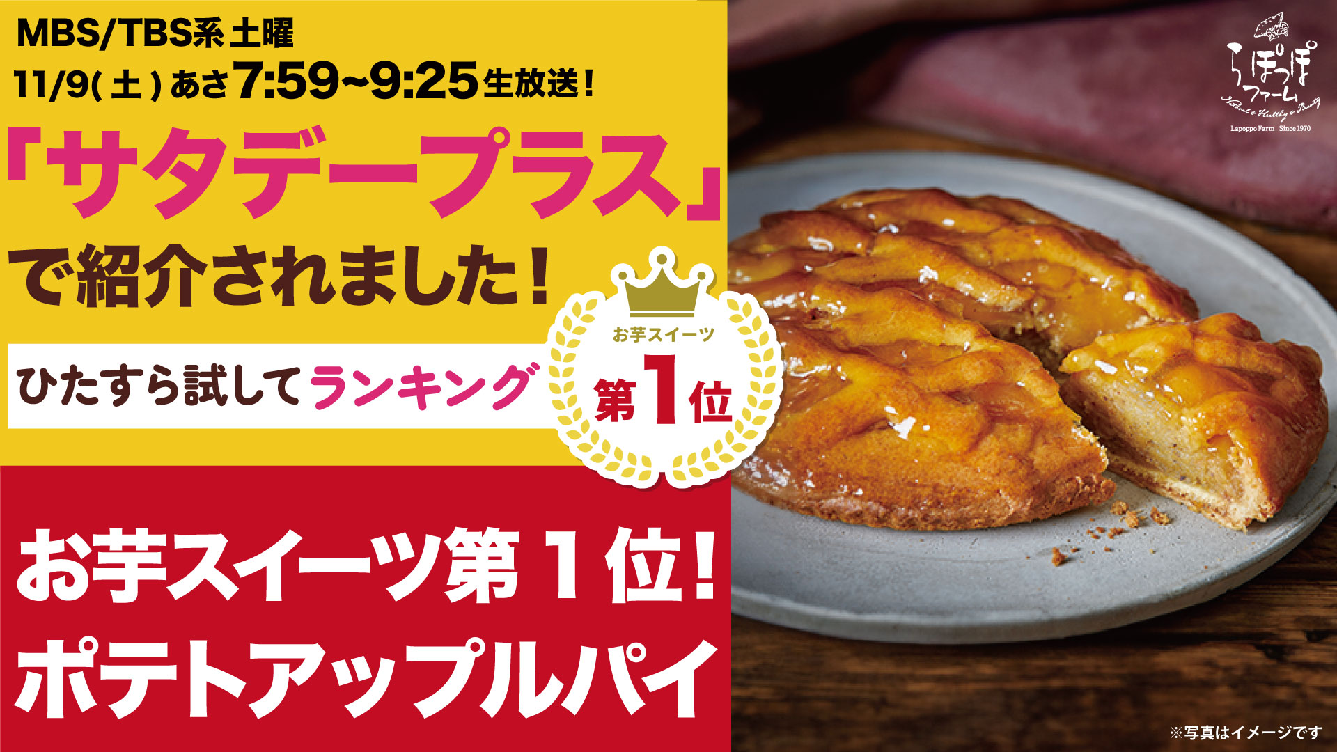 お芋スイーツ第1位】サタデープラスのひたすら試してランキングで紹介されました！ | ニュース（最新情報） | らぽっぽファーム公式ブランドサイト